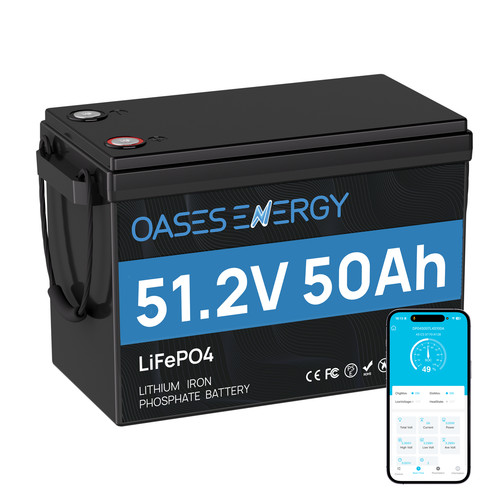 48v 50ah lifepo4 batterie - lifepo4,